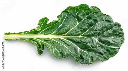 Fresh Collard Green Leaf Isolated on White Background Basking in Natural Light photo