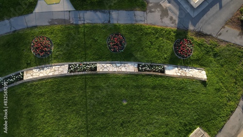 flowers in the park aerial  spring season
