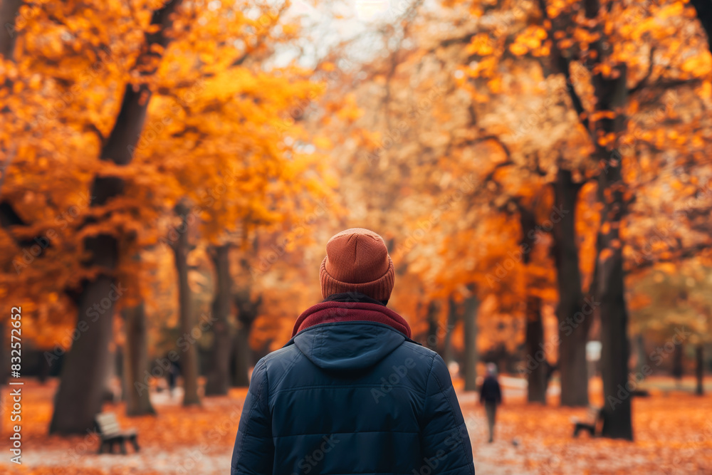 Rear view of a trendy pedestrian in a colorful park, autumn trees lining the path Rear view of a trendy pedestrian in a colorful park, autumn trees lining the path