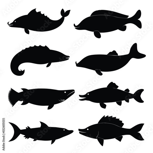 Set of Bowfin animal black silhouettes vector on white background