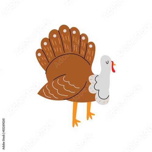 Cute vector turkey. Turkey in the hand drawn style. Domestic bird. Farm animal. White isolated background.