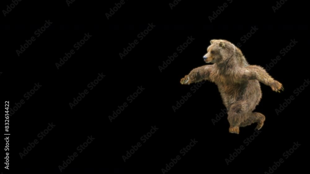 Bear Dancing CG fur 3d rendering animal realistic composition 3d mapping cartoon, Animation Loop, Included in the end of the clip with Alpha matte. Bear Dancing CG fur 3d rendering animal realistic composition 3d mapping cartoon, Animation Loop, Included in the end of the clip with Alpha matte.