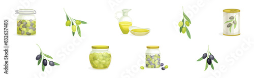 Olives with Oil Glass Jug, Canned Jar and Branch Vector Set