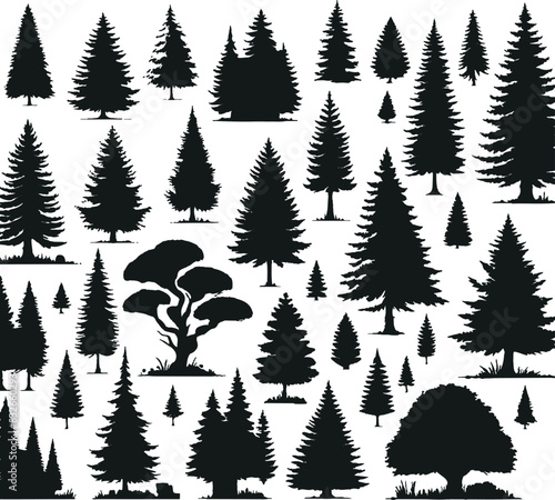 Pine tree silhouettes. Evergreen forest firs and spruces black shapes, wild nature trees templates. Vector illustration of woodland trees set on a white background design.