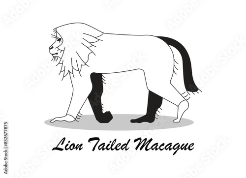 Lion-Tailed Macaque Icon, Macaque Monkey Illustration, Lion-Tailed Monkey Icon.