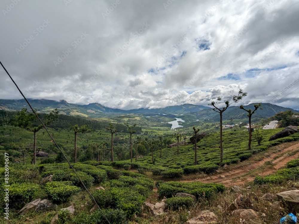 A serene tea plantation in the mountains, with a river flowing beneath a cloudy sky. A serene tea plantation in the mountains, with a river flowing beneath a cloudy sky.