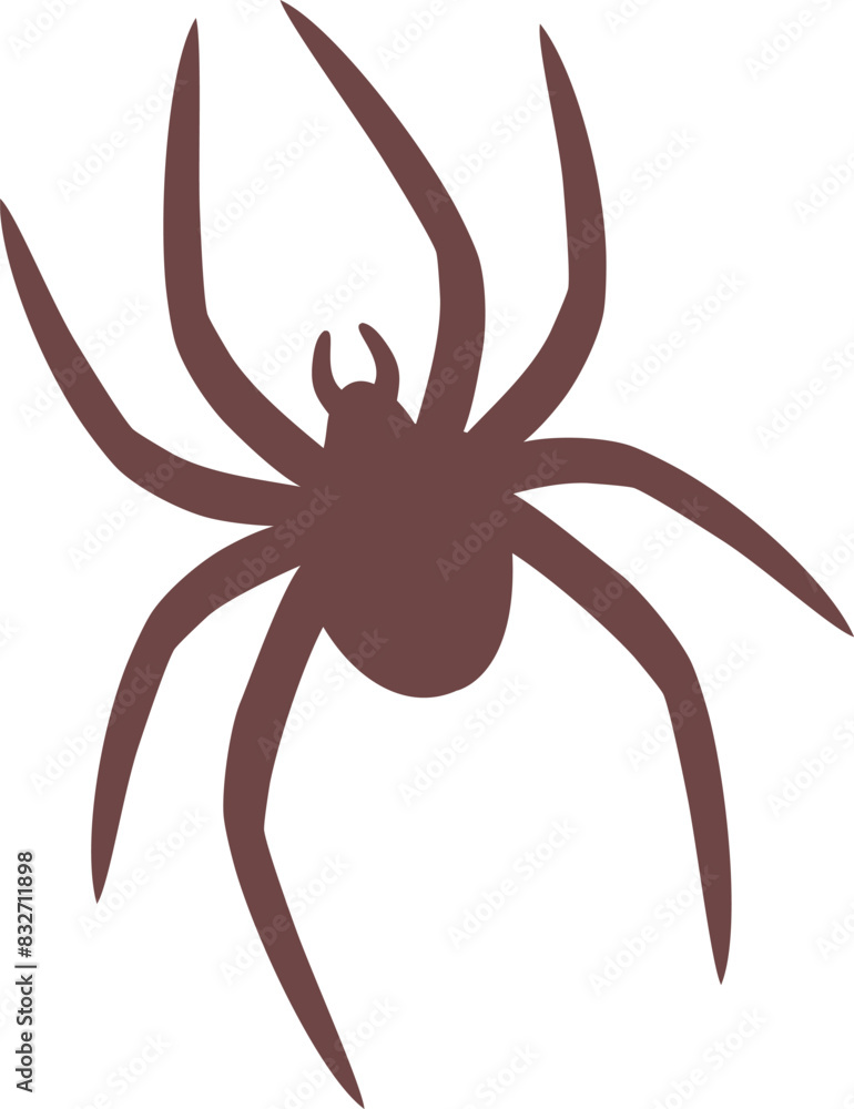 spider on a white background spider on a white background
