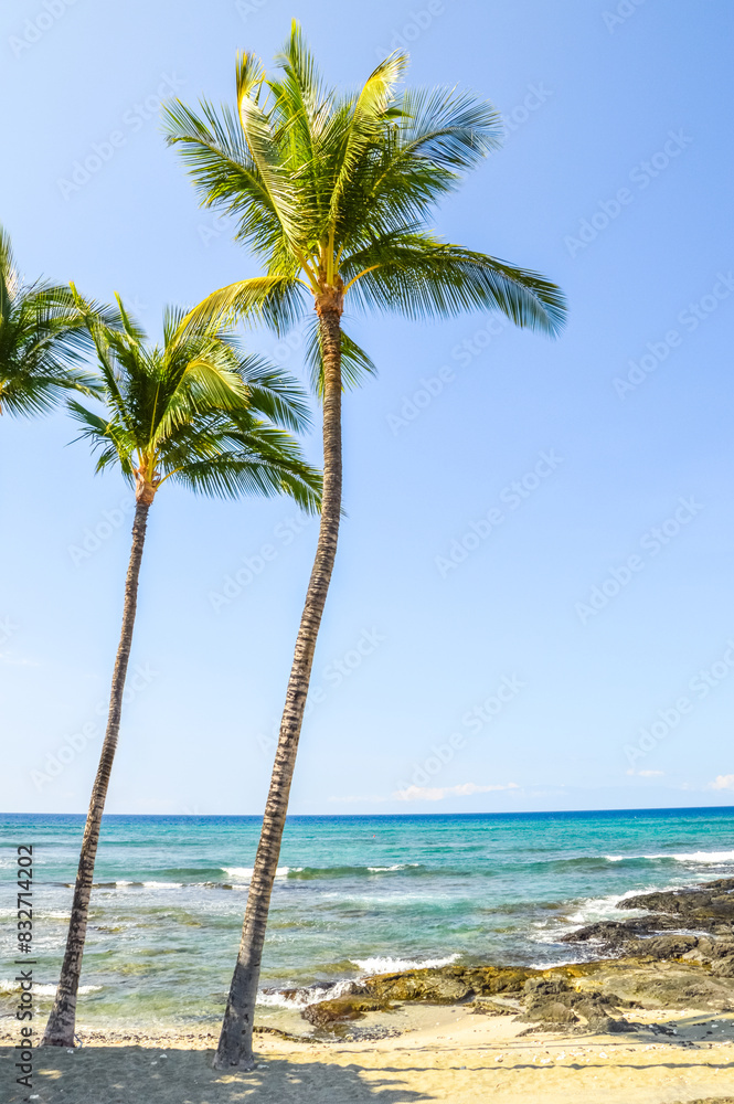 Fototapeta premium Strand, Küste von Hawaii, Insel Kauai 