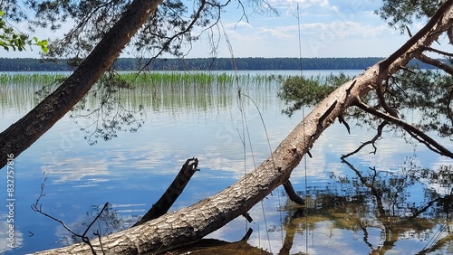 Village Nanosy, on Lake Narach, Belarus, photo