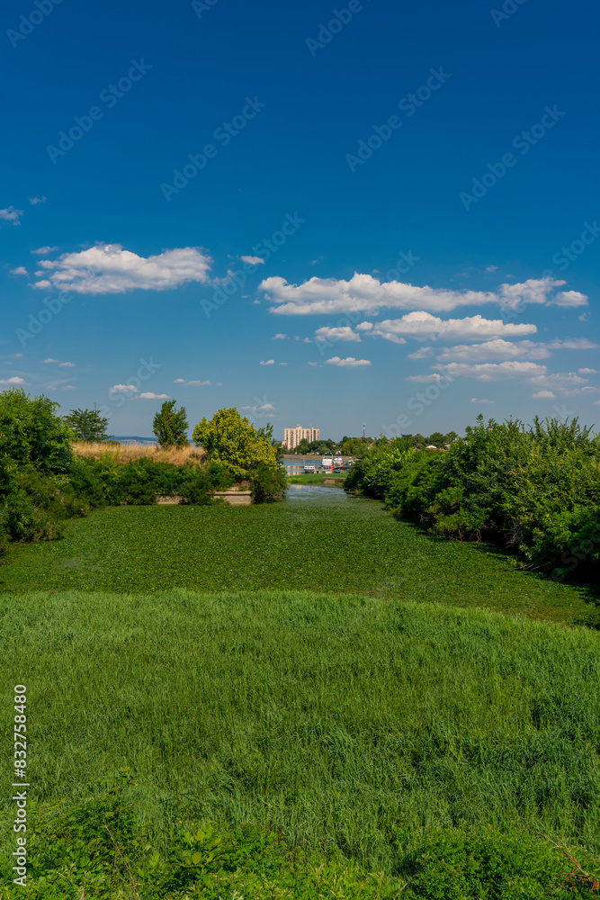 Serene summer afternoon overlooking lush green fields in Kladovo, Serbia Serene summer afternoon overlooking lush green fields in Kladovo, Serbia