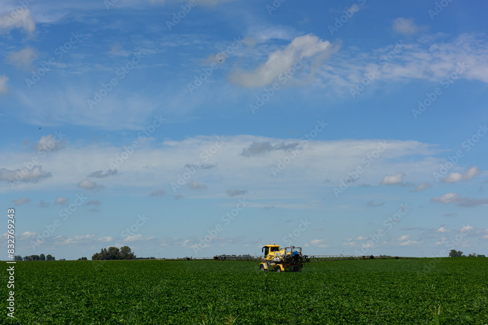 Soybean crop field , in the Buenos Aires Province Countryside, Argentina. Soybean crop field , in the Buenos Aires Province Countryside, Argentina.