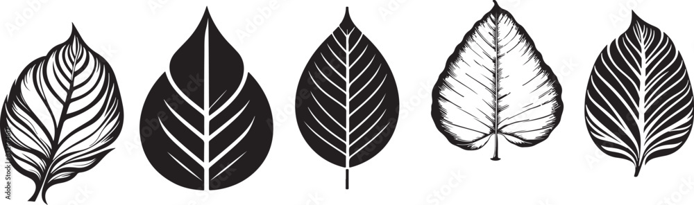 leaf silhouette leaf silhouette