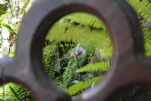 lens on grass