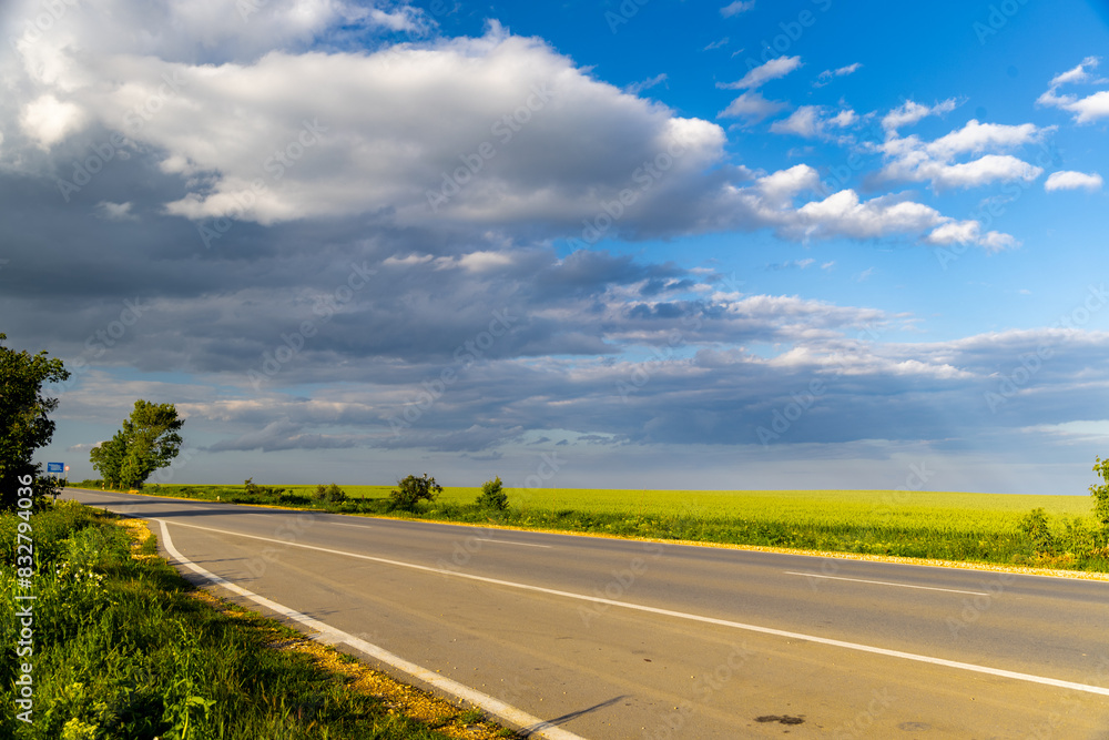 Fototapeta premium road in the countryside