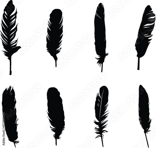 A collection of feather silhouettes for artwork compositions and illustrations