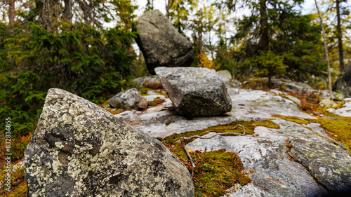 A large mosscovered rock in the heart of a forest nature scene