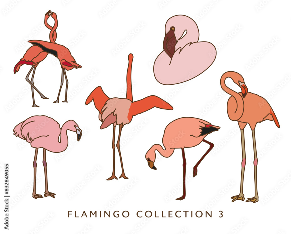 Obraz premium Flamingo Color Illustrations in Various Poses 3 