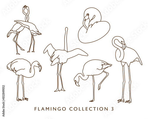 Flamingo Outline Illustrations in Various Poses 3
