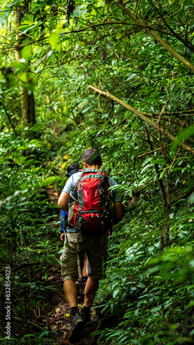 Jungle Trek: Discovering Hidden Beauty Amidst Green Foliage © Leo Tenorio