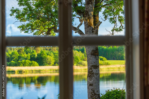 Beautiful view from the window of a house overlooking forest trees in the garden with a lake in the background on a sunny summer day. Sweden.