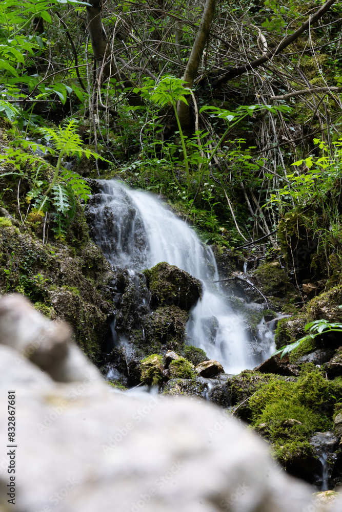 Naklejka premium waterfall in the forest
