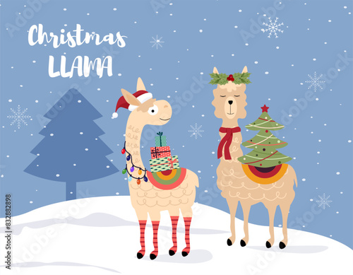 Postcard template with llama and alpaca. Cute animals with Christmas tree and gifts. Christmas and New Year. Wildlife cartoon character. Flat vector.