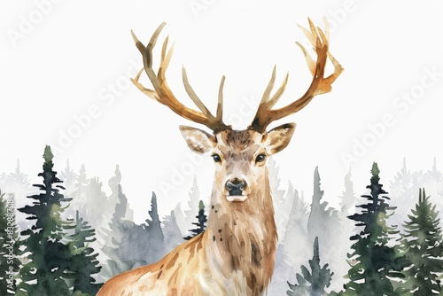majestic watercolor deer in scandinavian forest isolated on white background