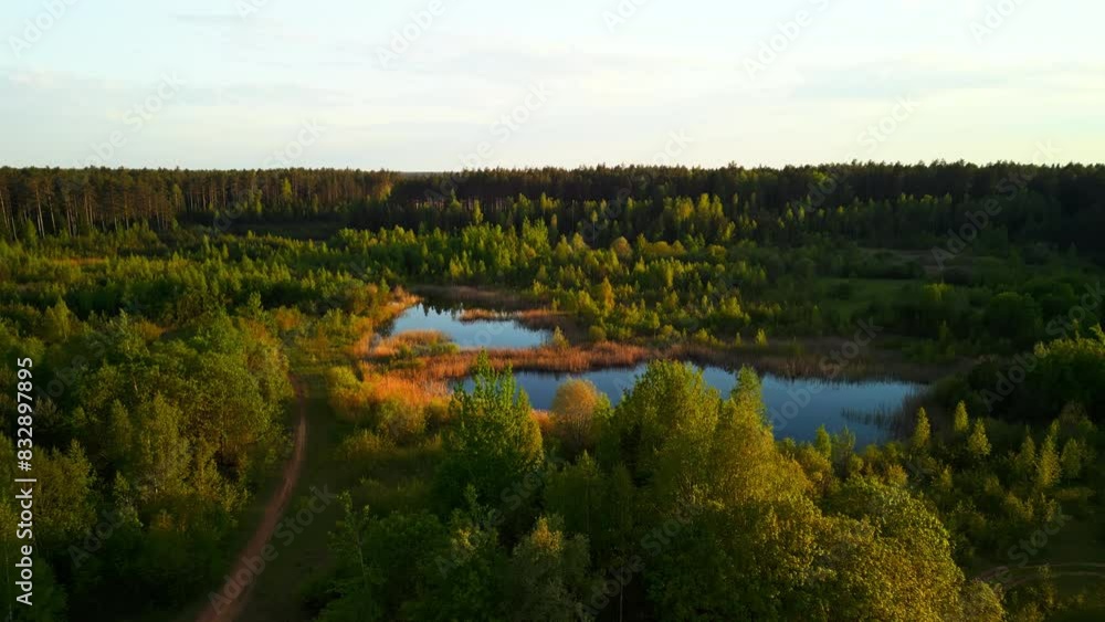Breathtaking aerial view of forest river and lush landscape at sunset, capturing serene beauty of nature Breathtaking aerial view of forest river and lush landscape at sunset, capturing serene beauty of nature