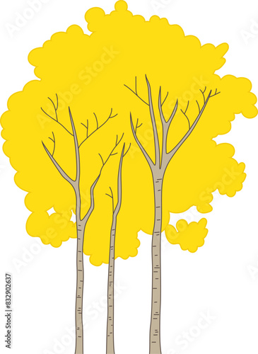 Autumn Quaking Aspen Trees icon.