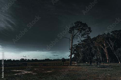 Dark Clouds Looming over Santa Teresa Park Uruguay