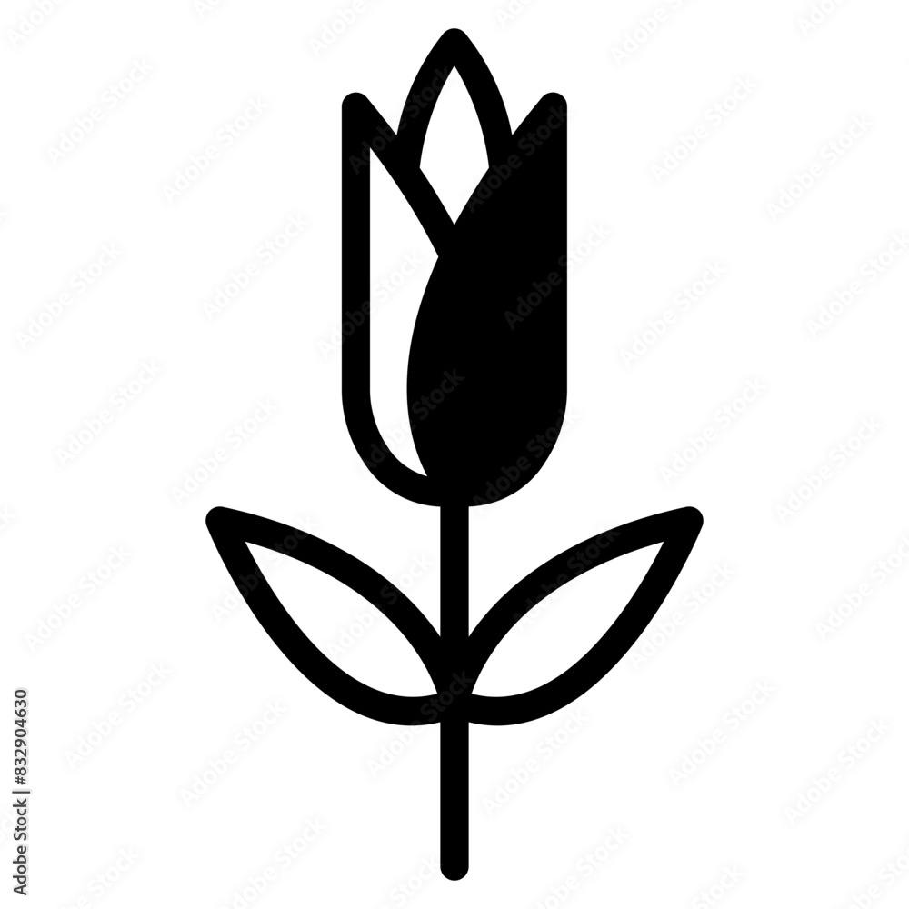 flower flower