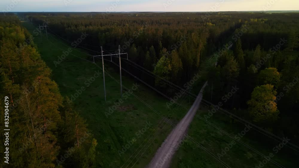 Relax on forest path at sunset, surrounded by lush green trees, in serene atmosphere with natures beauty Relax on forest path at sunset, surrounded by lush green trees, in serene atmosphere with natures beauty
