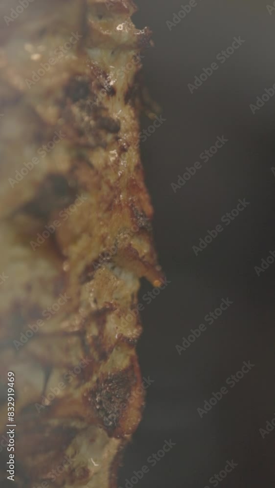 Vertical slow motion shot of shawarma meat rotating. Vertical slow motion shot of shawarma meat rotating.