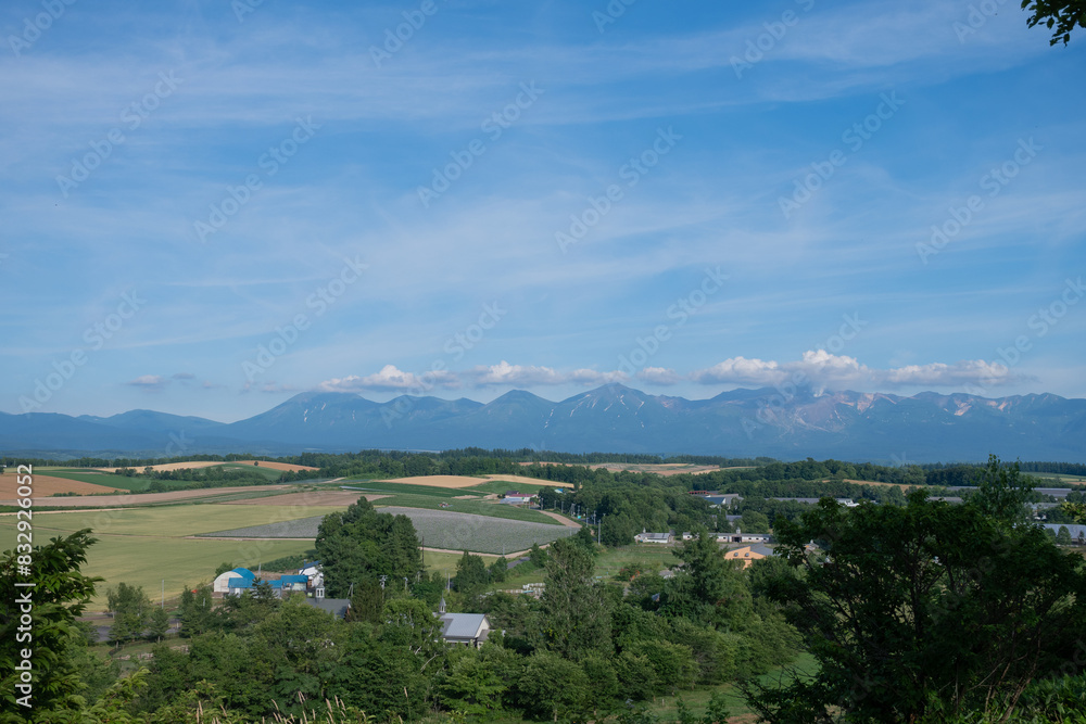 Fototapeta premium 夏の緑の畑作地帯と山並み 十勝岳連峰 
