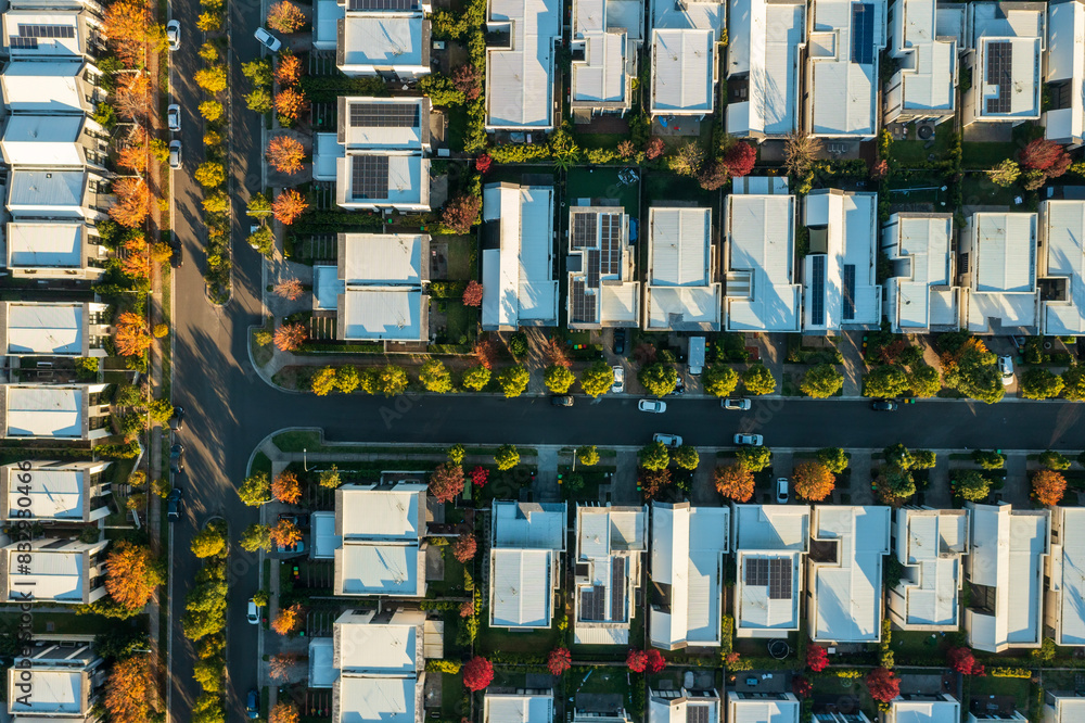 Fototapeta premium Top town aerial view of streets with autumn colours lined with modern Australian homes in Sydney's outer suburbs