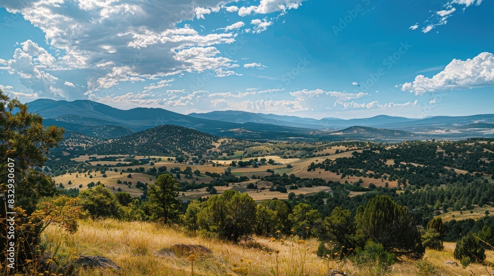 Fototapeta premium Scenic Vista from Hilltop