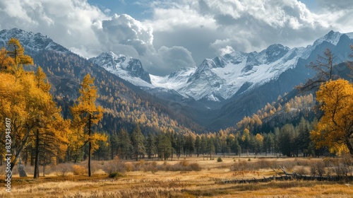 Autumn scenery in Altai woodlands and peaks