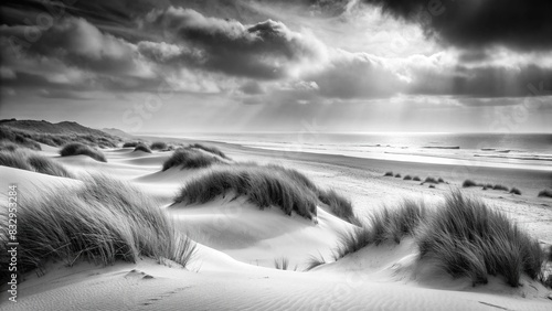 A serene black and white photograph capturing the calm and extensive expanse of a misty beach with gently curving sandy dunes and sparse vegetation
