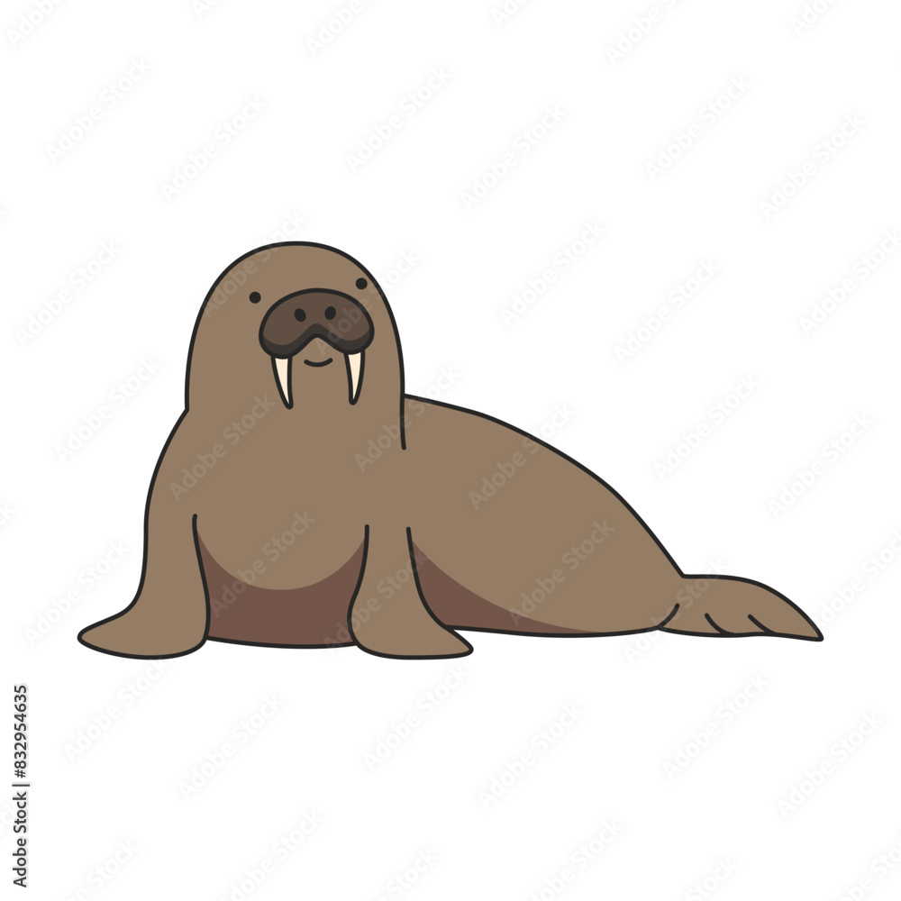 Walrus illustration Walrus illustration