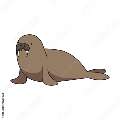 Walrus illustration