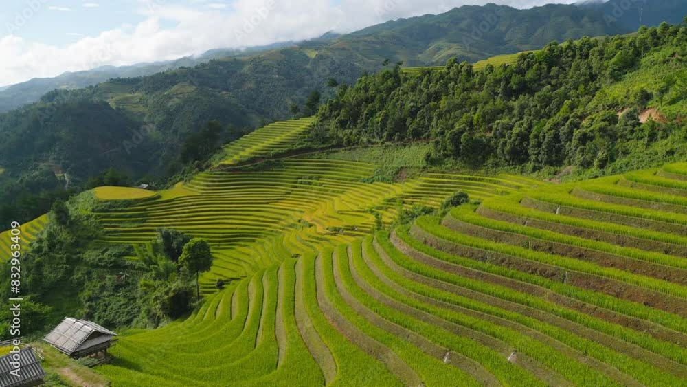 Aerial top view of fresh paddy rice terraces, green agricultural fields in countryside or rural area of Mu Cang Chai, mountain hills valley in Asia, Vietnam. Nature landscape background. Aerial top view of fresh paddy rice terraces, green agricultural fields in countryside or rural area of Mu Cang Chai, mountain hills valley in Asia, Vietnam. Nature landscape background.
