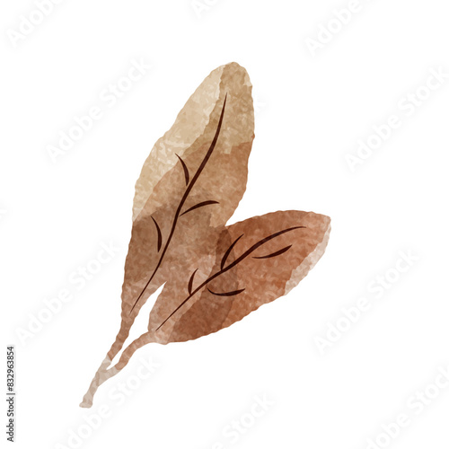 シンプルな茶色の葉っぱの水彩イラスト（紅茶、烏龍茶、黒茶など）