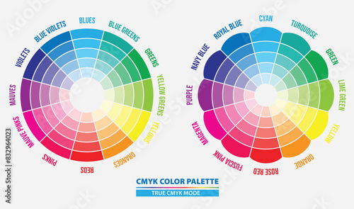 Set of name color in cmyk palette diagram, isolated. 3D Illustration