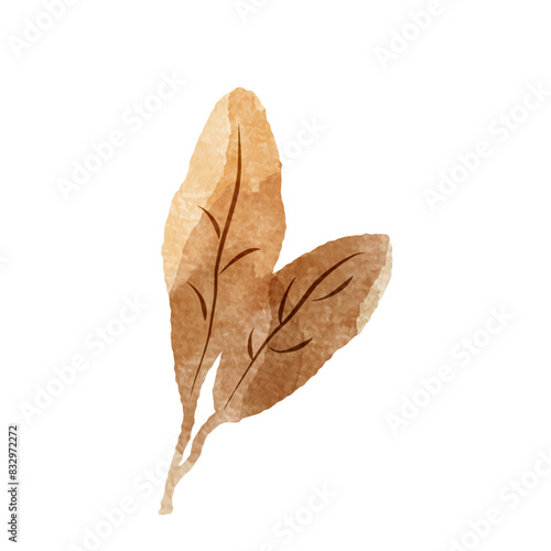 シンプルな茶色の葉っぱの水彩イラスト（紅茶、烏龍茶、黒茶など）