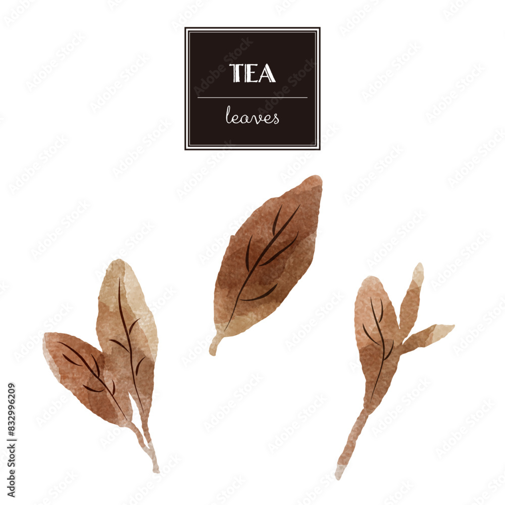 シンプルな茶色の葉っぱの水彩イラストセット（紅茶、烏龍茶、黒茶など） Stock Vector | Adobe Stock
