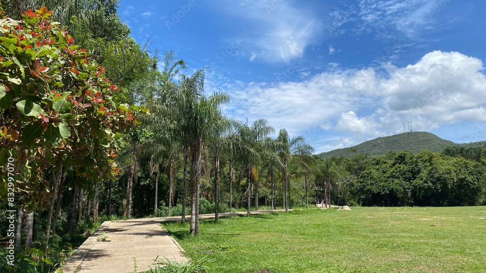 nature forest landscapes brazil colombia nature forest landscapes brazil colombia