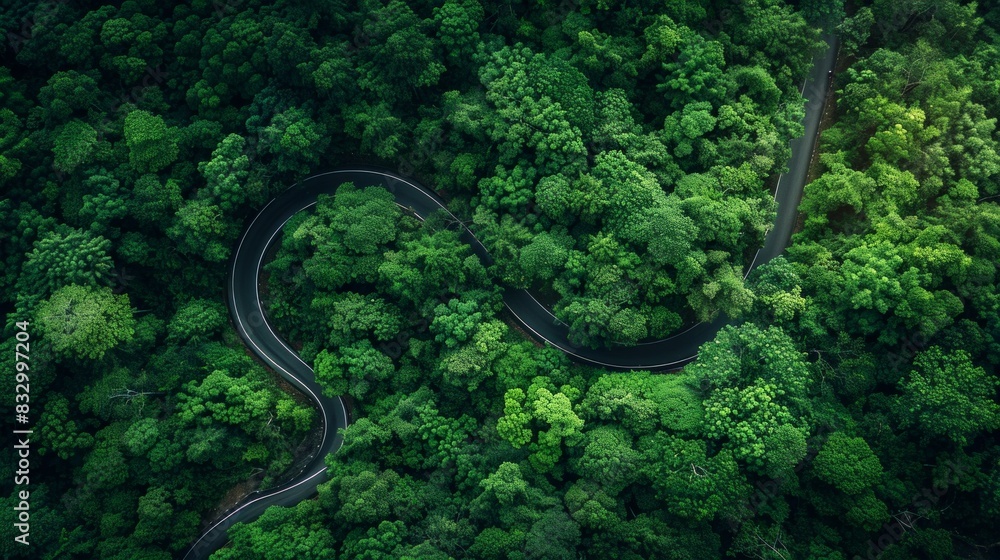 Aerial view of a winding road cutting through the middle of a dense forest, with towering trees on either side and a serene, natural atmosphere. AI Generative Aerial view of a winding road cutting through the middle of a dense forest, with towering trees on either side and a serene, natural atmosphere. AI Generative