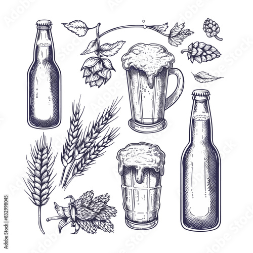 collection of sketches on the theme of beer brewing, featuring ingredients and equipment