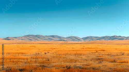 A vast nature prairie with rolling hills covered in golden grasses  the sky clear and blue above