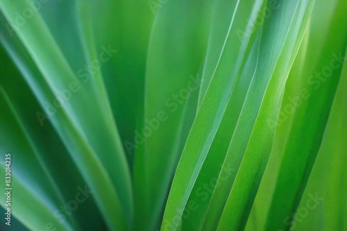 green leaf texture